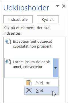 Det viser, hvordan et element, der er kopieret fra Udklipsholder, slettes