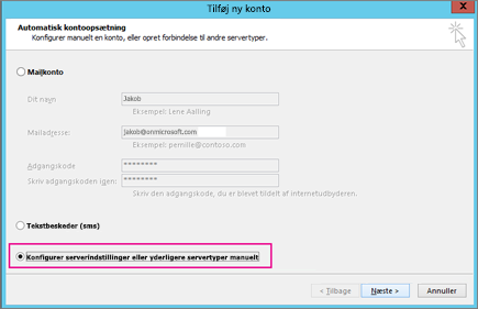 Vælg Konfigurer serverindstillinger eller yderligere tjenestetyper manuelt.