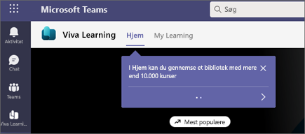 Billede af coachmærker i Viva Learning.