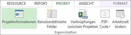 Schaltflächensymbol 'Projektinformationen'.