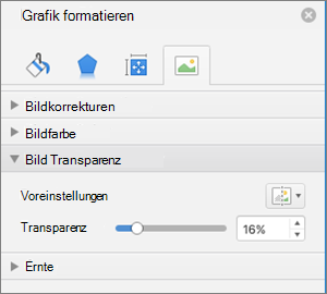 Anpassen der Farbtransparenz im Bereich "Bild formatieren"