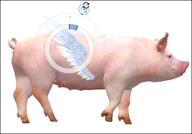 Flügel am Schweinemodell befestigt