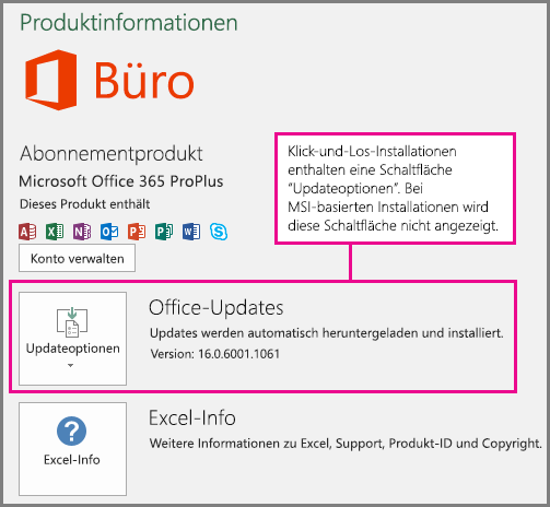 Bei Klick-und-Los-Installationen finden Sie auf der Seite "Konto" eine Schaltfläche "Updateoptionen". Bei MSI-basierten Installationen wird diese Schaltfläche nicht angezeigt.
