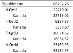 PivotTable im Kurzformat