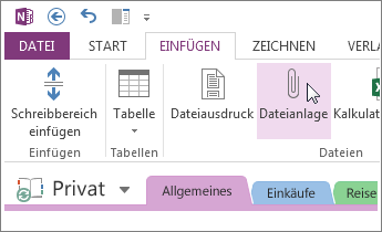 Fügen Sie eine Dateianlage ein, damit Sie in OneNote über Kopien von Dateien verfügen.