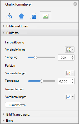 Anpassen der Farbsättigungseinstellungen im Bereich "Bild formatieren"