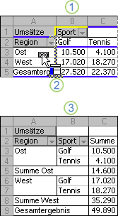 Beispiel für das Ändern des Layout eines PivotTable-Berichts