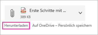 Screenshot der Schaltfläche "Download"