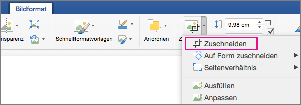 Auf der Registerkarte "Bildformat" ist "Zuschneiden" hervorgehoben.