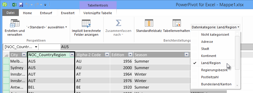 Datenkategorien in PowerPivot