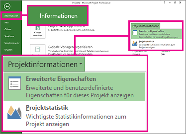 Menü 'Projektinformationen' mit hervorgehobener Option 'Erweiterte Eigenschaften'