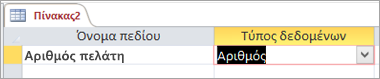 Όνομα πεδίου και τύπος δεδομένων ενός νέου πίνακα της Access