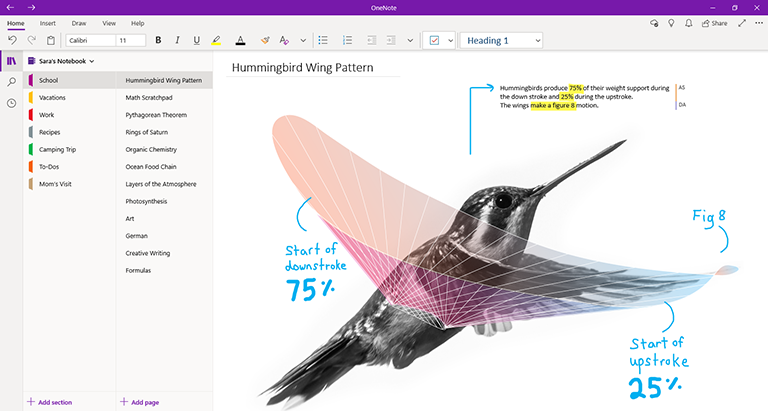 Στιγμιότυπο οθόνης του OneNote για Windows 10