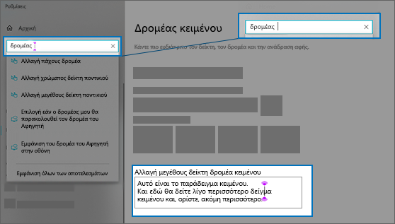 Η σελίδα "Ρυθμίσεις" για τον δρομέα κειμένου