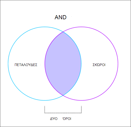 Διάγραμμα Βεν που δείχνει τον τρόπο λειτουργίας του τελεστή AND