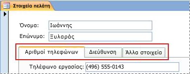 Μια φόρμα που περιέχει ένα στοιχείο ελέγχου καρτέλας