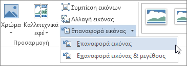 Εντολή "Επαναφορά εικόνας"