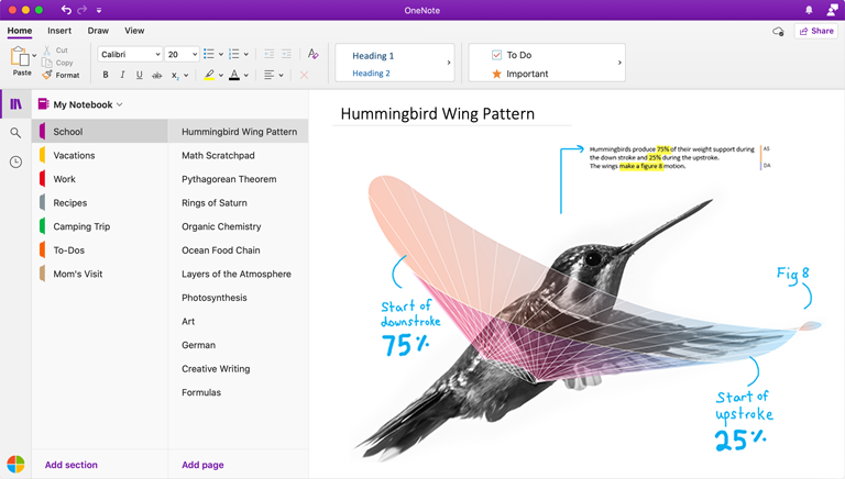 Στιγμιότυπο οθόνης του OneNote για Mac