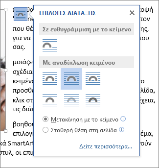 Πλαίσιο "Επιλογές διάταξης"