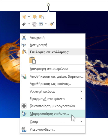 Στιγμιότυπο οθόνης των επιλογών "Μορφοποίηση εικόνας" στον Publisher.