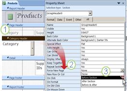 add a page break to a grouped report