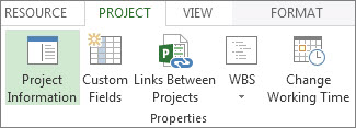 Project Information button image