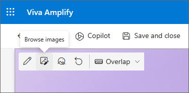 Screenshot of the Browse images icon in the toolbar.