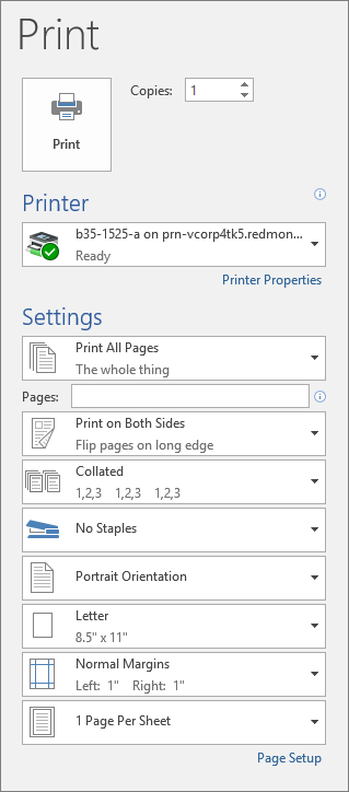 Screenshot of the Print pane with the various print settings, such as number of copies.