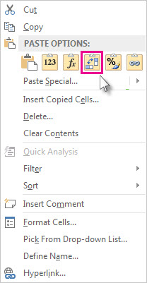 Paste Options menu