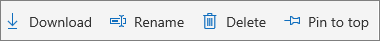 Delete, Download, and Rename commands