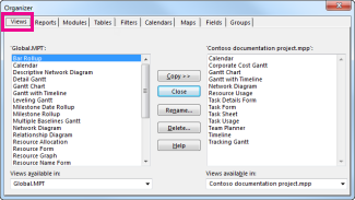 The Project organizer dialog box.