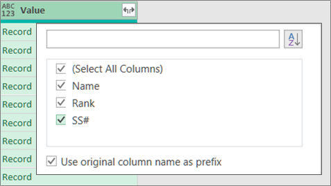 Expanding a JSON Record