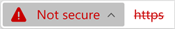 Icon for a website with an invalid certificate