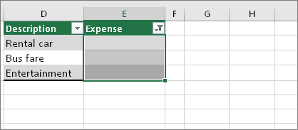 Filtered blank cells selected