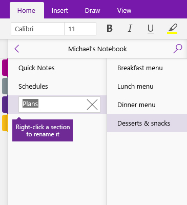 Screenshot of a section being renamed in OneNote