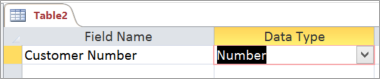 First field name and data type of a new Access table