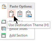 Under Paste Options, select the first option, Use Destination Theme