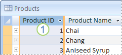 Image showing Products table with primary key field.