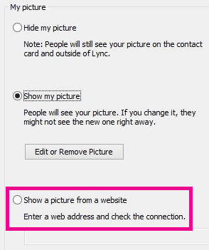 Screen shot section of Lync my picture options window with select picture from website highlghted