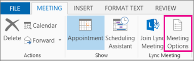Meeting Options button in Outlook 2013