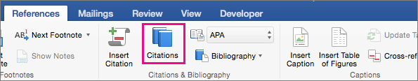 On the References tab, Citations is highlighted.