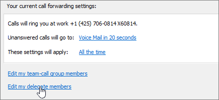 Call Forwarding Menu Delegate Link