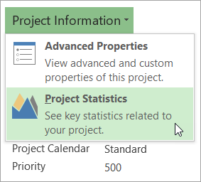 Project Information options