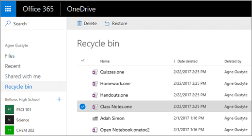 OneDrive Recycle bin with a list of notebook pages.