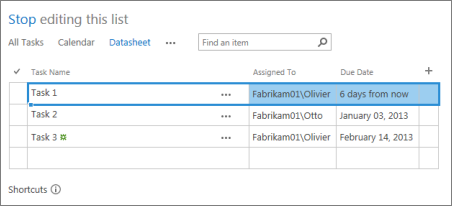 Datasheet view