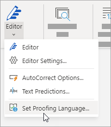 On the Review tab, click Editor > Set Proofing Language