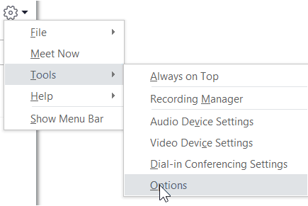 The Options menu in Skype for Business.