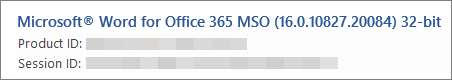 Shows the Word version, build, and bit version