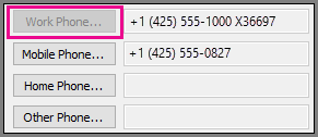 Work Phone Number is Greyed Out.