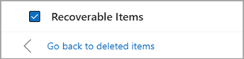 Select the checkbox next to Recoverable Items to select all messages to restore.